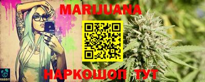 сатива Кингисепп