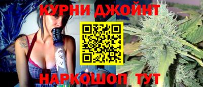 сатива Кингисепп