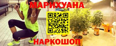 сатива Кингисепп