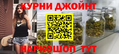 сатива Кингисепп