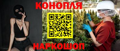 сатива Кингисепп