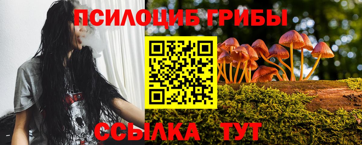 Псилоцибиновые грибы прущие грибы  Вход с VPN  Псилоцибиновые грибы мухоморы  Королёв 